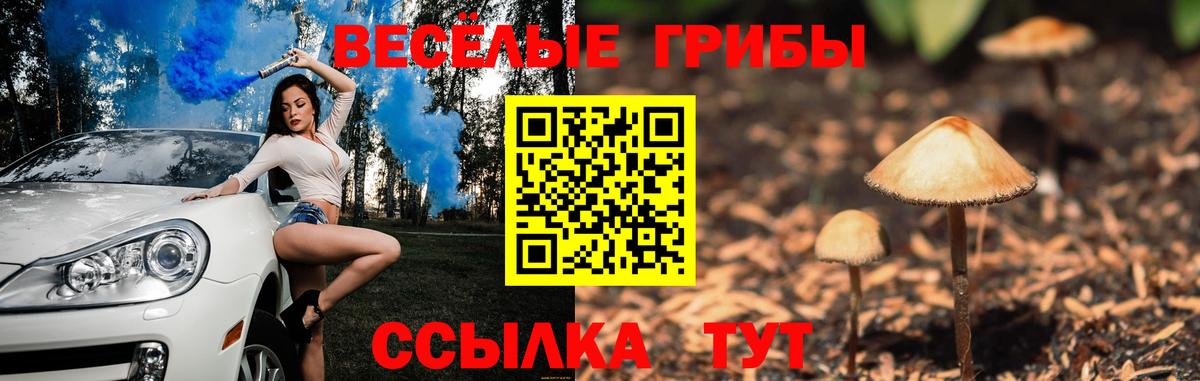 Псилоцибиновые грибы MAGIC MUSHROOMS  Вход с VPN  купить  сайты  Славянск-на-Кубани 